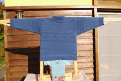 FinnStar-1